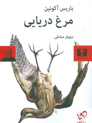 خرید کتاب مرغ دریایی نوشته باریس آکونین نشر نیلوفر