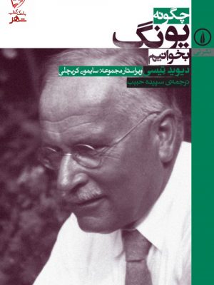 خرید کتاب چگونه یونگ بخوانیم اثر دیوید تیسی ترجمه سپیده حبیب نشر نی