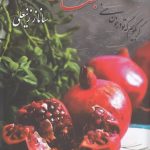 خرید کتاب بهتان نیست اثر ساناز زینعلی نشر شقایق