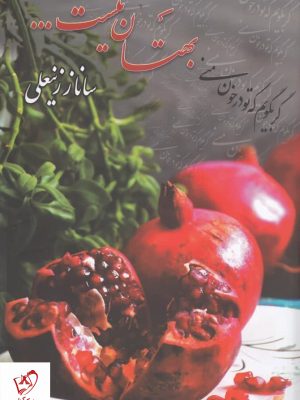 خرید کتاب بهتان نیست اثر ساناز زینعلی نشر شقایق