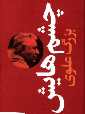 خرید کتاب چشم هایش اثر بزرگ علوی (پالتویی گالینگور) نشر نگاه
