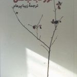 خرید کتاب نور نجاتبخش اثر دانیون برینکلی ترجمه زیبا پرهام نشر فرزان روز
