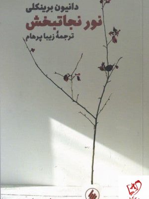 خرید کتاب نور نجاتبخش اثر دانیون برینکلی ترجمه زیبا پرهام نشر فرزان روز