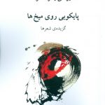 خرید کتاب پایکوبی روی میخ ها اثر یوگنی یفتوشنکو نشر ناهید