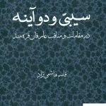 خرید کتاب سیبی و دو آینه اثر قاسم هاشمی نژاد نشر مرکز