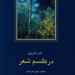خرید کتاب در طلسم شعر (منتخب چهار دفتر شعر) نادر نادرپور نشر سخن