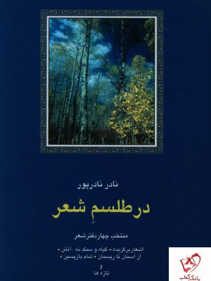 خرید کتاب در طلسم شعر (منتخب چهار دفتر شعر) نادر نادرپور نشر سخن