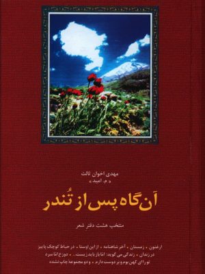 خرید کتاب آن گاه پس از تندر اثر مهدی اخوان ثالث نشر سخن