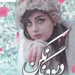 خرید کتاب دیوونگی نکن اثر شادی داودی نشر شقایق