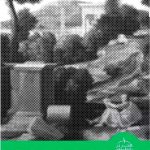 خرید کتاب نقد هنر اثر دانلد برتون کاسپیت نشر فرهنگستان هنر