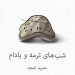 خرید کتاب شب های ترمه و بادام اثر حمید امجد نشر نیلا