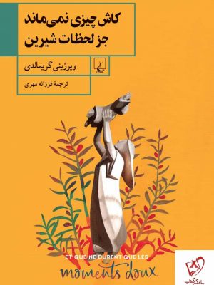 خرید کتاب کاش چیزی نمی ماند جز لحضات شیرین اثر ویرژینی گریمالدی ققنوس