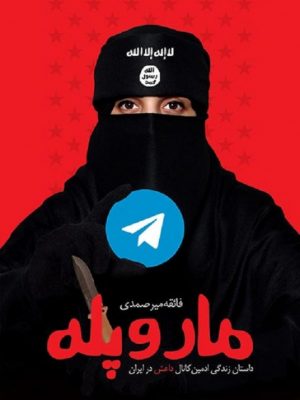 خرید کتاب مار و پله نوشته فائقه سادات میرصمدی نشر شهید کاظمی