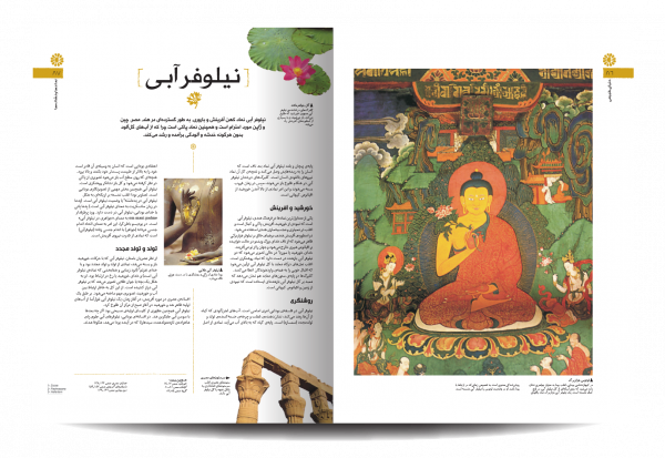 خرید کتاب دایره المعارف مصور نماد ها و نشانه ها از نشر سایان