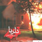 خرید کتاب دلربا اثر امیر فرح آبادی از انتشارات یوپا