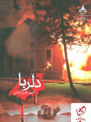 خرید کتاب دلربا اثر امیر فرح آبادی از انتشارات یوپا