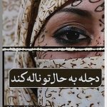 خرید کتاب دجله به حال تو ناله کند اثر امیلی ین ملفتو نشر ثالث