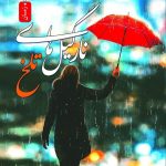 خرید کتاب نارگیل های تلخ اثر پانیذ ذاکر نشر نسل نواندیش