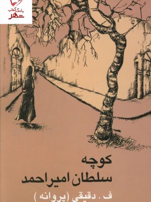خرید کتاب کوچه سلطان امیر احمد اثر ف.دقیقی (پروانه) نشر علم