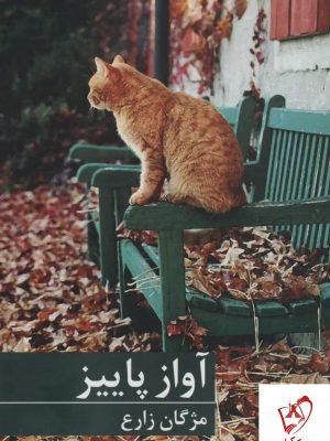 خرید کتاب آواز پاییز اثر مژگان زارع نشر برکه خورشید