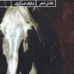 خرید کتاب این بار نور اسبم را ربود اثر شایان عسگری از نشر حکمت کلمه