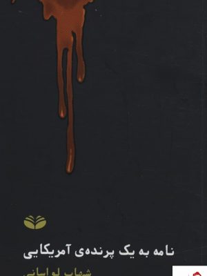 خرید کتاب نامه به یک پرنده ی آمریکایی اثر شهاب لواسانی از نشر کندوکاو