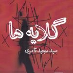 خرید کتاب گلایه ها اثر سید مجید قادری از نشر شمشاد
