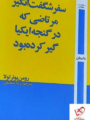 خرید کتاب سفر شگفت انگیز مرتاضی که در گنجه ایکیا گیر کرده بود