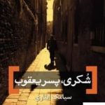 خرید کتاب شکری پسر یعقوب اثر سیامک ایثاری از نشر برج