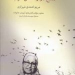خرید کتاب صلاح کار من خراب اثر مریم احمدی شیرازی از نشر نشانه
