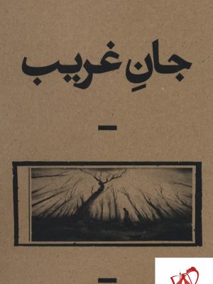 خرید کتاب جان غریب اثر ملاحت نیکی نشر بان