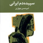 خرید کتاب سپیده دم ایرانی اثر امیر حسین چهل تن از نشر نگاه