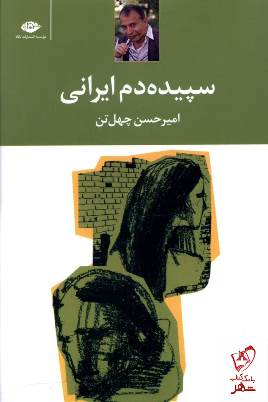 خرید کتاب سپیده دم ایرانی اثر امیر حسین چهل تن از نشر نگاه