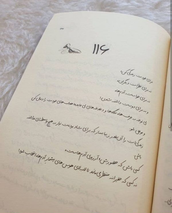خرید کتاب بدون بال پرواز کن اثر نرگس صرافیان طوفان از نشر 360 درجه - تصویر 4