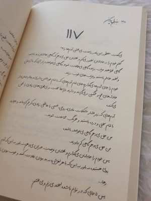 خرید کتاب بدون بال پرواز کن اثر نرگس صرافیان طوفان از نشر 360 درجه