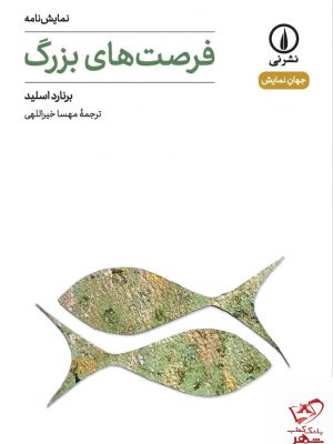خرید کتاب فرصت های بزرگ اثر برنارد اسلید از نشر نی