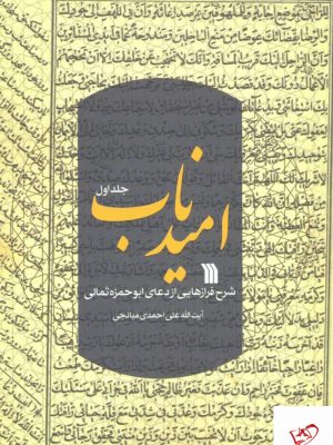 خرید کتاب امید ناب اثر آیت الله علی احمدی میانجی از نشر سروش
