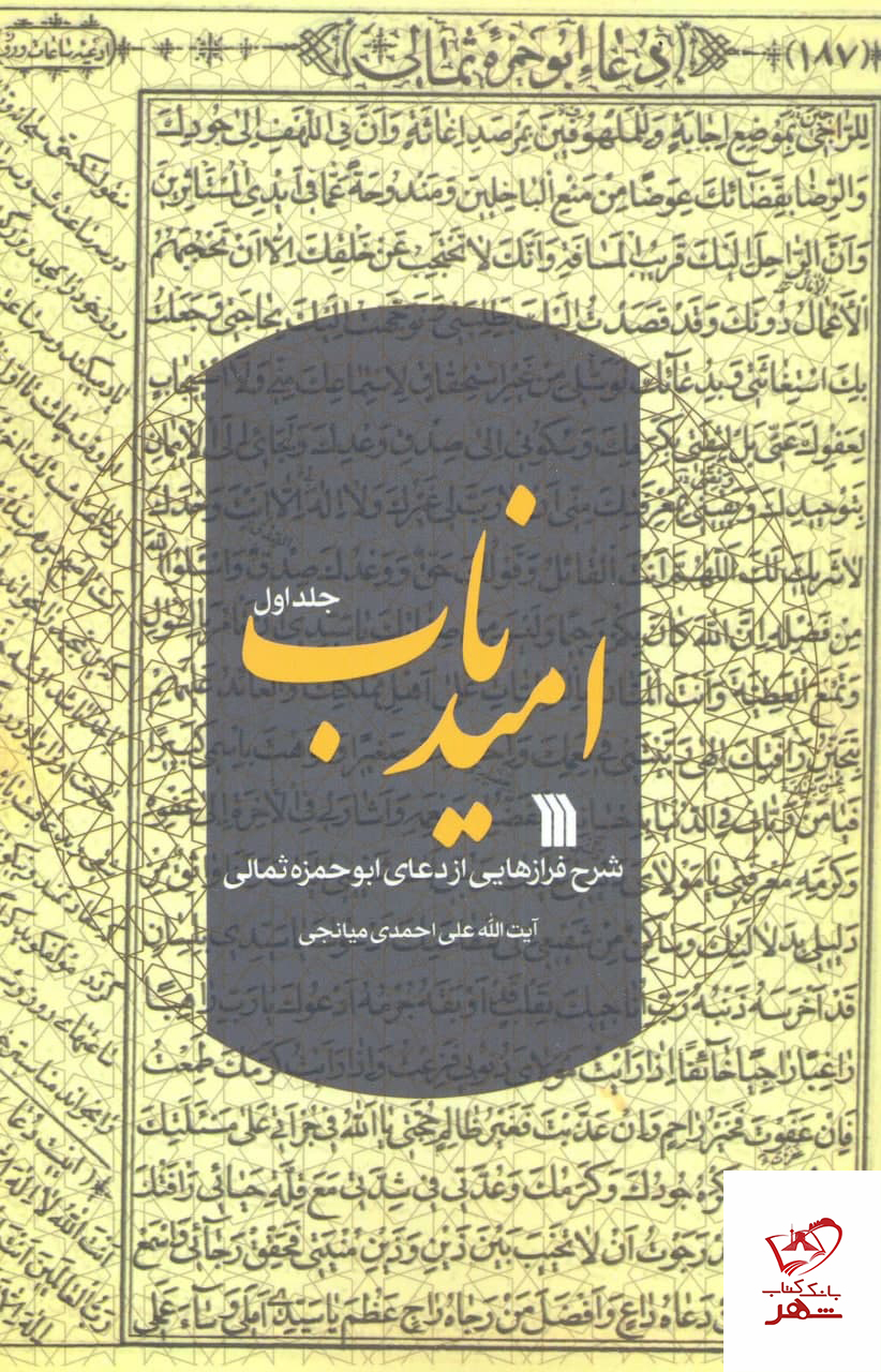 خرید کتاب امید ناب اثر آیت الله علی احمدی میانجی از نشر سروش