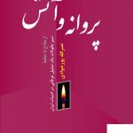 خرید کتاب پروانه و آتش  از حلاج تا حافظ از نشر فرهنگ معاصر