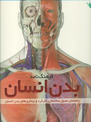 خرید کتاب فرهنگ نامه بدن انسان اثر استیو پارکر از نشر طلایی