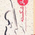 خرید کتاب ساز شکسته اثر آکیرا میزوبایاشی از نشر برج