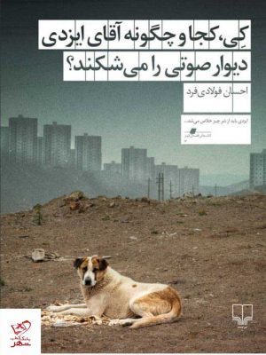 خرید کتاب کی کجا و چگونه آقای ایزدی دیوار صوتی را می شکند از نشر چشمه
