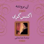 خرید کتاب اگنس گری اثر ان برونته از انتشارات نی
