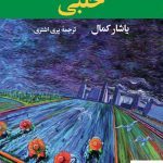 خرید کتاب حلبی اثر یاشار کمال از انتشارات نگاه
