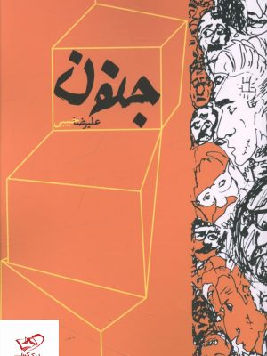 خرید کتاب جنون اثر علیرضا حبیبی از نشر نقد فرهنگ