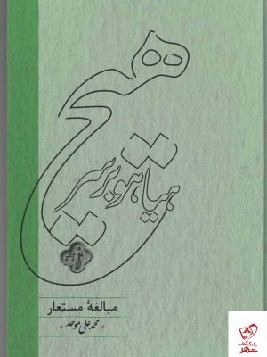 خرید کتاب هیاهو بر سر هیچ (مبالغه ی مستعار) اثر محمد علی موحد از نشر کارنامه