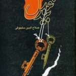 خرید کتاب نقد بیدل اثر صلاح الدین سلجوقی از نشر عرفان