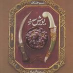خرید کتاب یورش سرد (مست جنگ) اثر مسعود آذرباد از نشر کتابستان