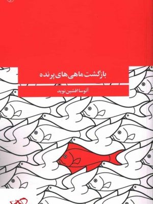 خرید کتاب بازگشت ماهی های پرنده اثر آتوسا افشین نوید از نشر آگه