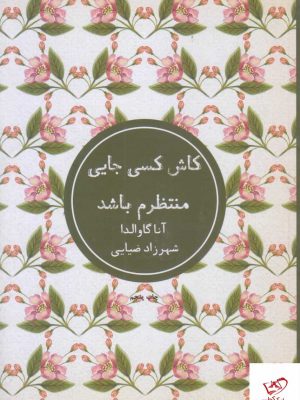 خرید کتاب کاش کسی جایی منتظرم باشد اثر آنا گاوالدا از نشر شمشاد